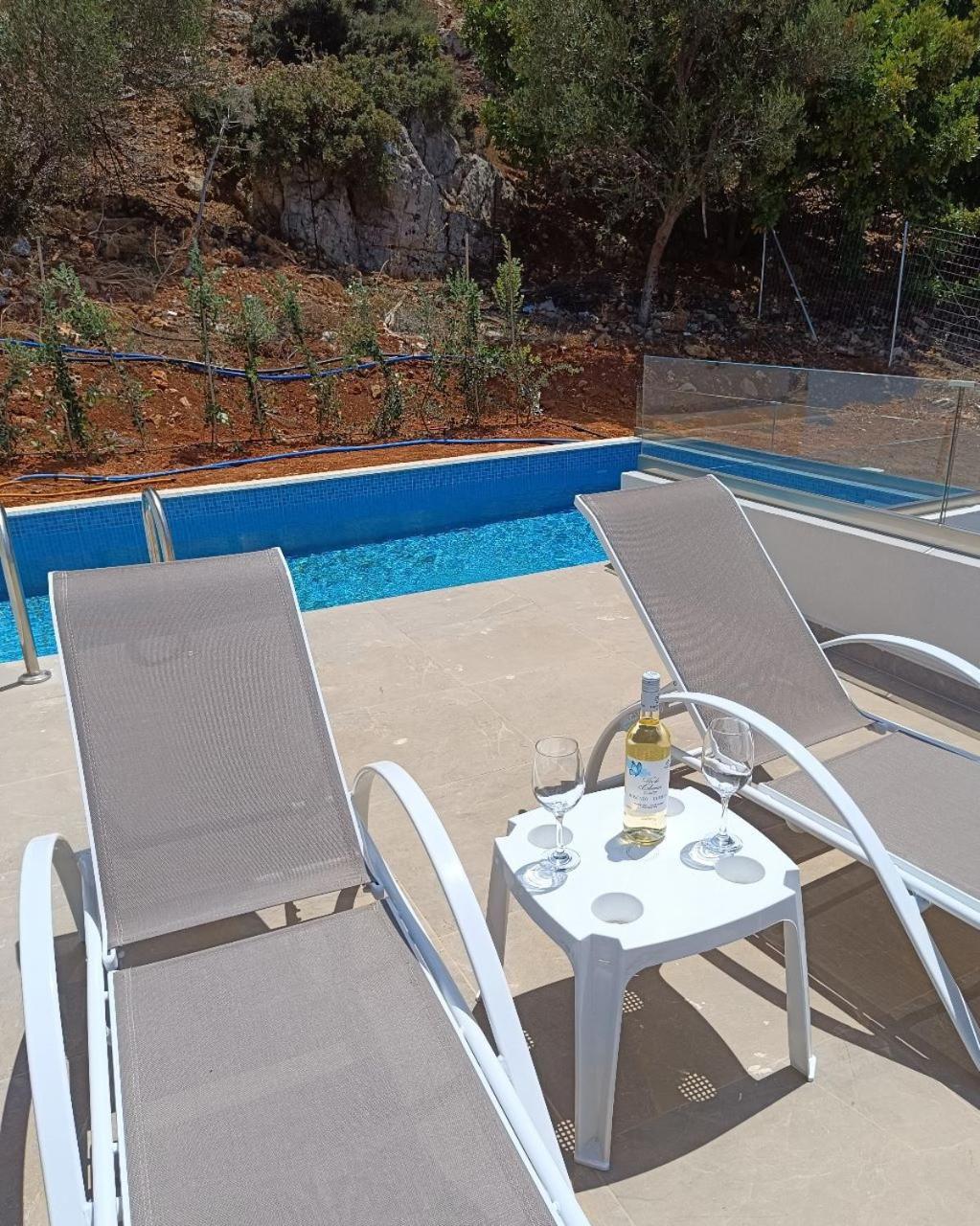 Isabel Artemis Crete - Luxury Sea Views Villas Nopigia Экстерьер фото